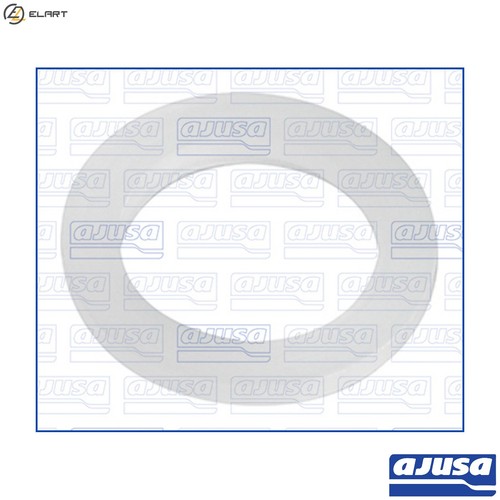 Seal ring oil - ring, plug