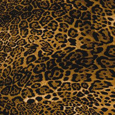 Jaguar Spots Cotton Fabric