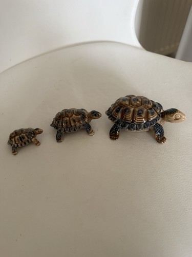 Wade tortoise one trinket - tortoise,