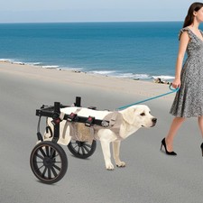 Pet Walking Aid Pet Walking Aid Back Legs Dog Rehabilitation Wheelchair 143.3lbs
