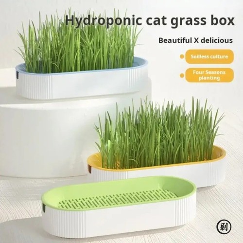 Hydroponic cat grass kit - cat,