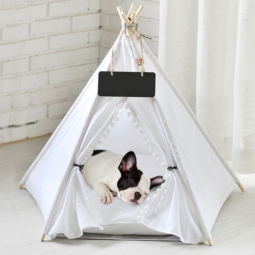 Pet dog cat kitten nest - cat,