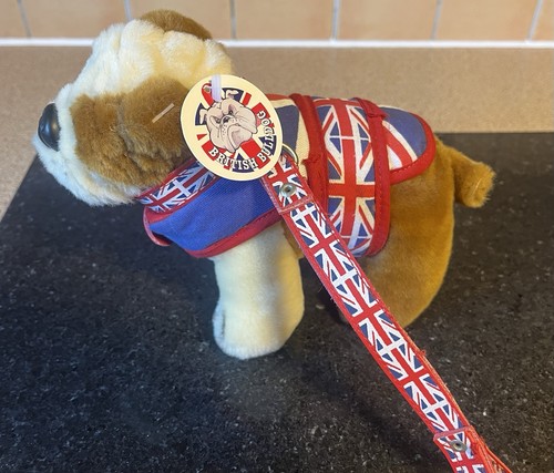 English bull dog - with, lead