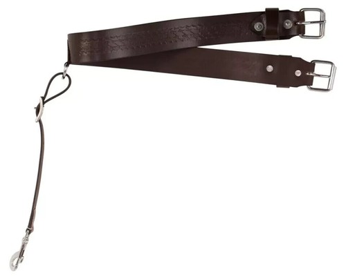 Dark brown horse back rear - brown,