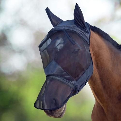 Horse master fly - horse, mask