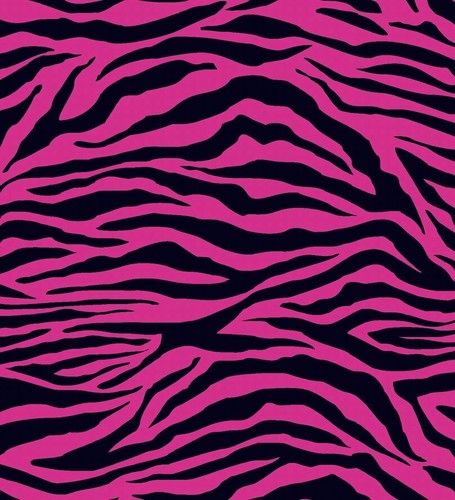 Zebra animal scuba fabric - scuba,