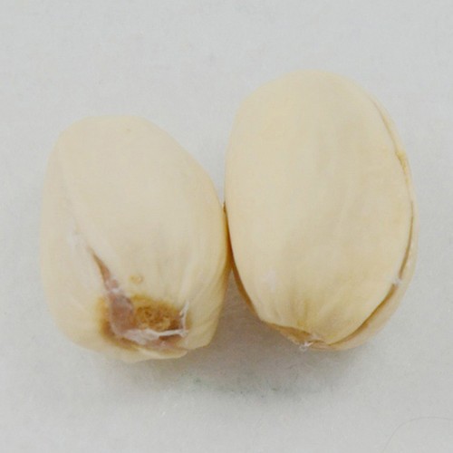 Magnetic pistachio nuts - magnetic,