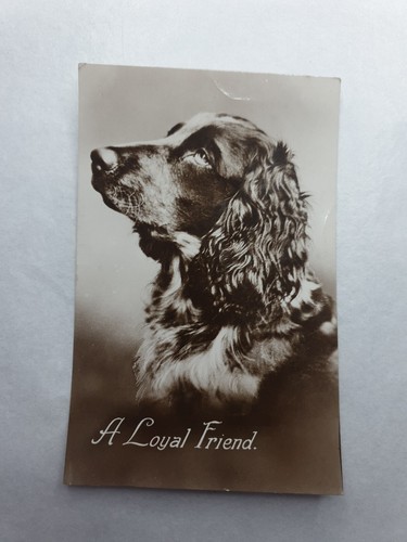 Vintage greetings card