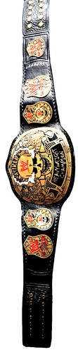 Wwe championship belt steve - wwe, belt.
