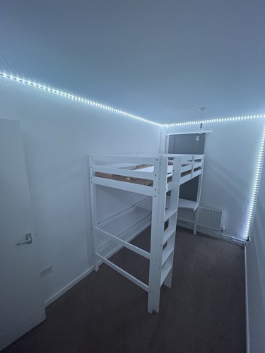 Modern high sleeper loft bed - high,