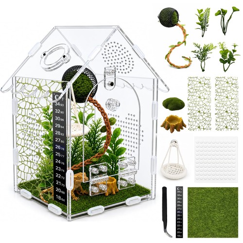 Jumping spider enclosure with - jumping,