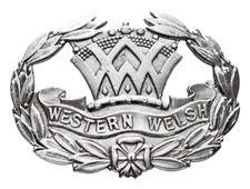 Vintage Old The Western Welsh