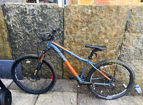 Orbea laufey mtb 29in front - orbea,