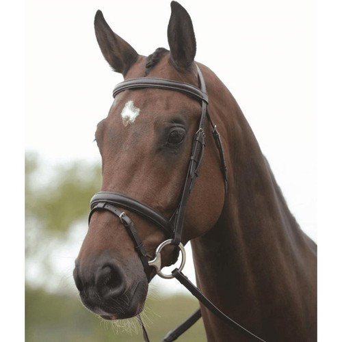 Kincade flash bridle - flash,