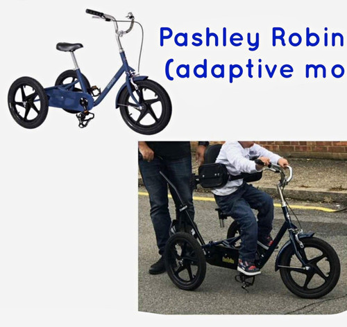 Pashley robin adaptive - pashley,