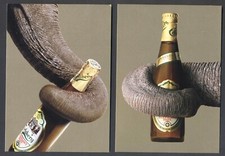 1997 Pair of Danish Promo Postcards for CARLSBERG Elephant Beer. Free UK p&p