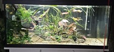 160L Aquarium & cabinet