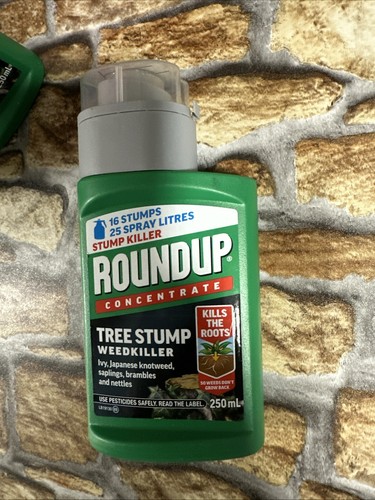 Roundup tree stump and root - tree,