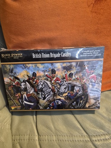 28mm napoleonic british union - napoleonic,