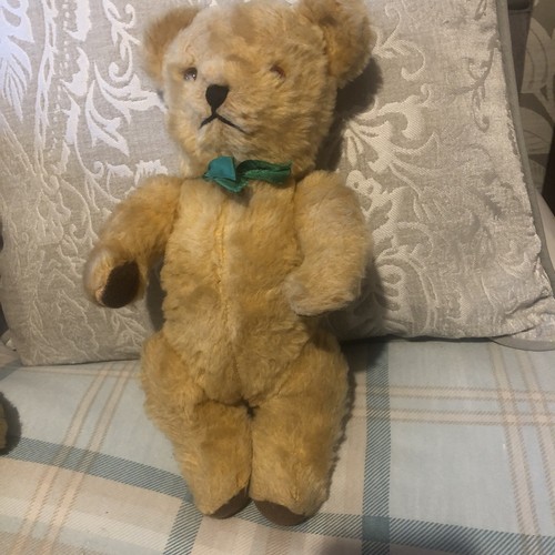 Vintage golden pedigree - golden,