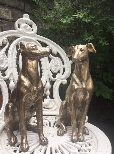 Red finch garden gifts - garden,