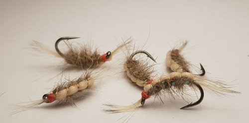 Killer shrimp fly - 3,