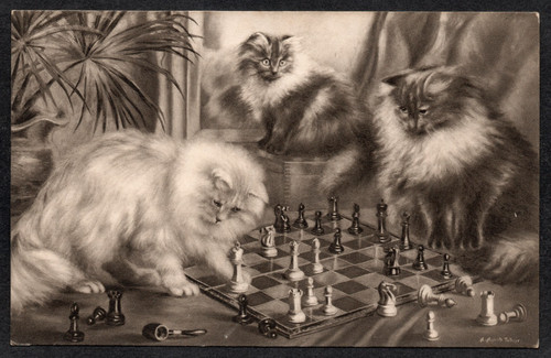 Postcard chess board pieces - chess,