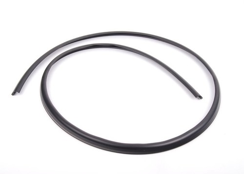 Bmw e39 e53 door - e39, seal