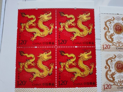 China 2024 year the - 2024,