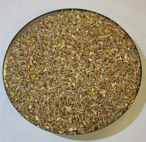 Wild bird feed - bird, seed