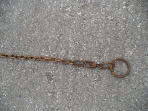 Pony goat tether chain - pony,