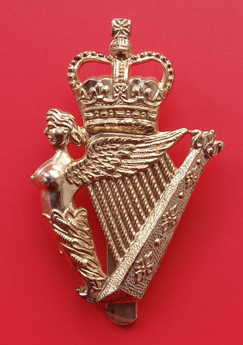 Royal irish regiment anodised - regiment,
