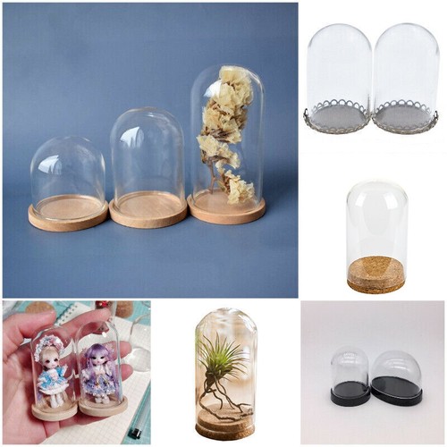Miniature clear display bell - clear,