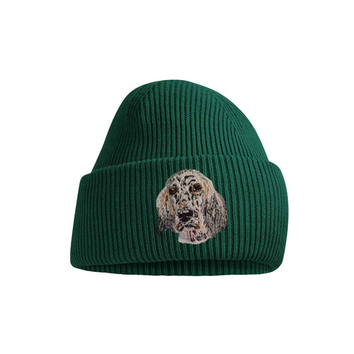 English setter tricolour dog - english,