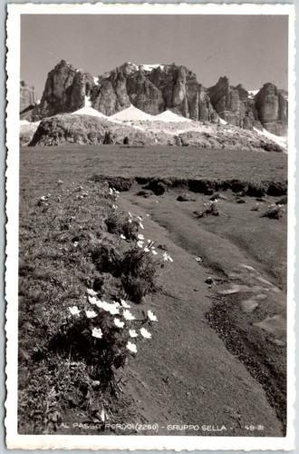 Wildflowers alpine meadow - wildflowers, in