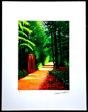 David Hockney - - 65x50cm Limited 90/300