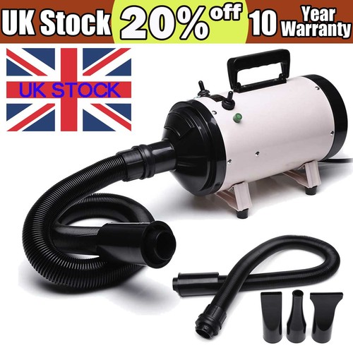 Pet hair dryer dog - dryer, animal