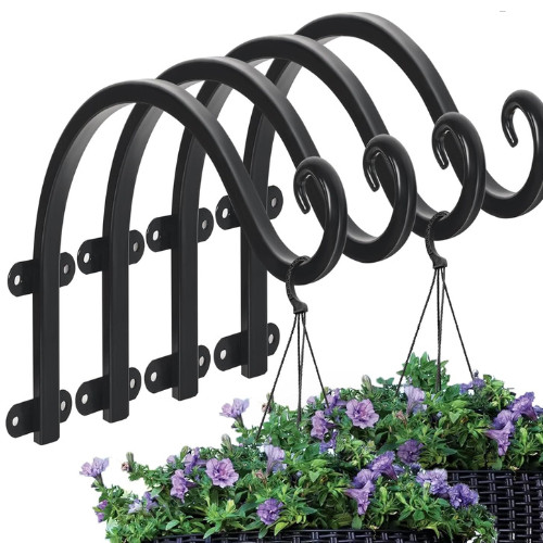 Pack inch plant - 4, hanger