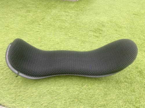 Thor easy carbon recumbent - thor,