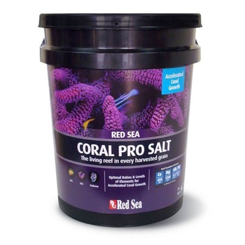 Red sea coral pro marine - coral,