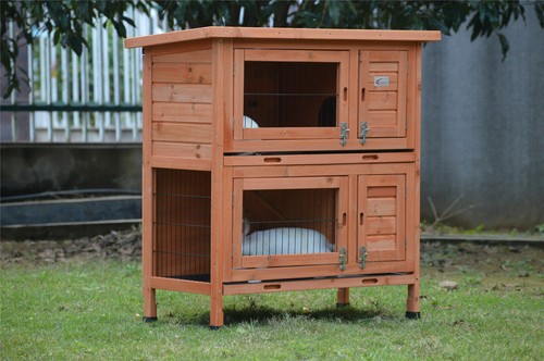 Rabbit guinea pig - pig, hutch