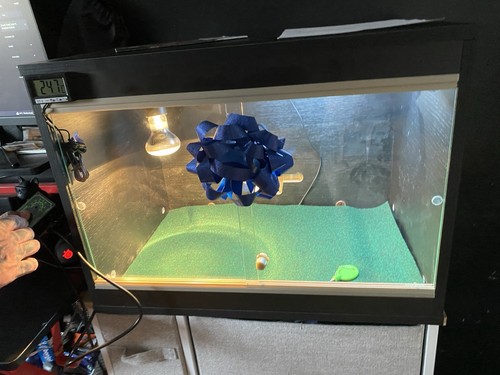 Reptile tank suitable - tank, for