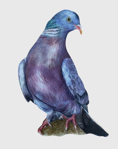 Wood pigeon magnet - wood,