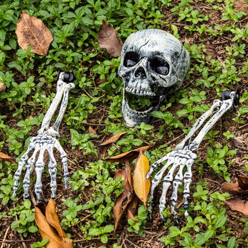 Pcs halloween skeleton - 3,