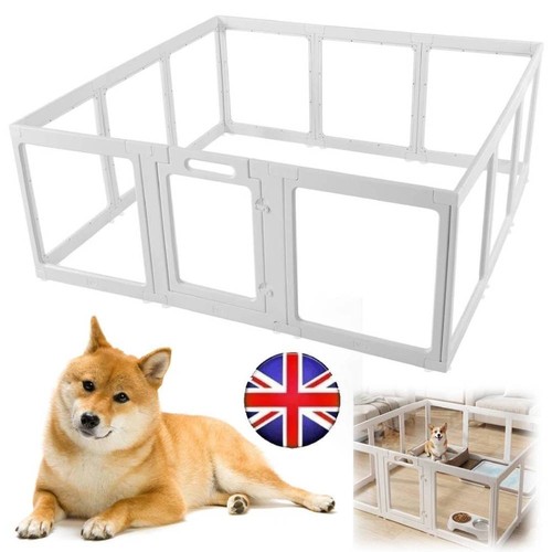 Large acrylic dog - acrylic, cage