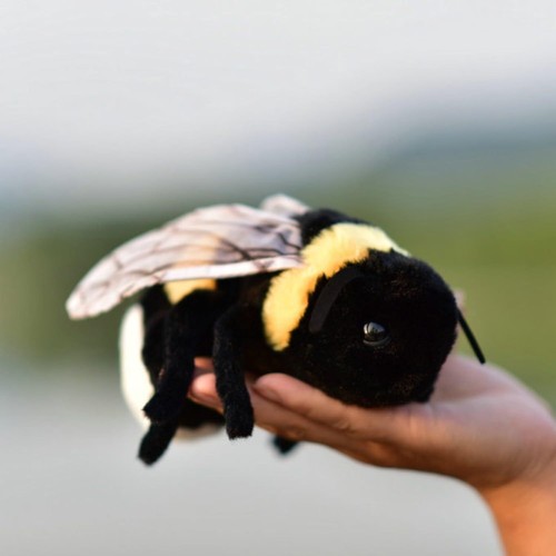 Bumblebee bee insect inch - bumblebee,