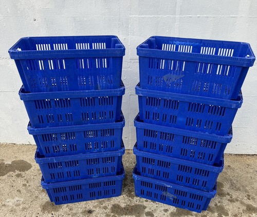 Blue vented nesting - x,