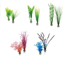 OASE BIORB EASY PLANT 2 PACK