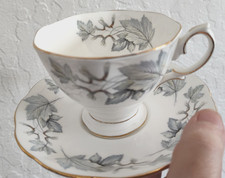 Royal Albert Silver Maple Bone