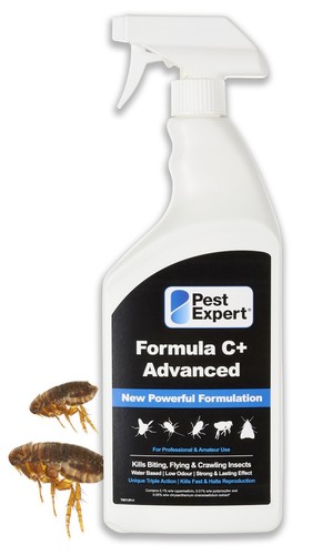 Pest expert flea - pest, spray